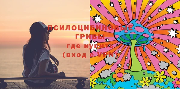 гашик Лагань
