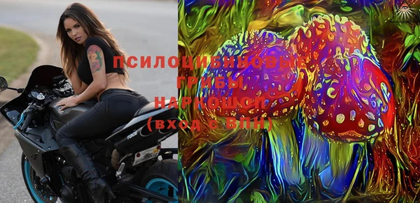 гашик Лагань