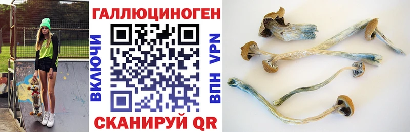 Галлюциногенные грибы Psilocybe  Пермь 